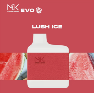 Maskking Evo Box