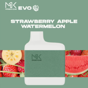 Maskking Evo Box